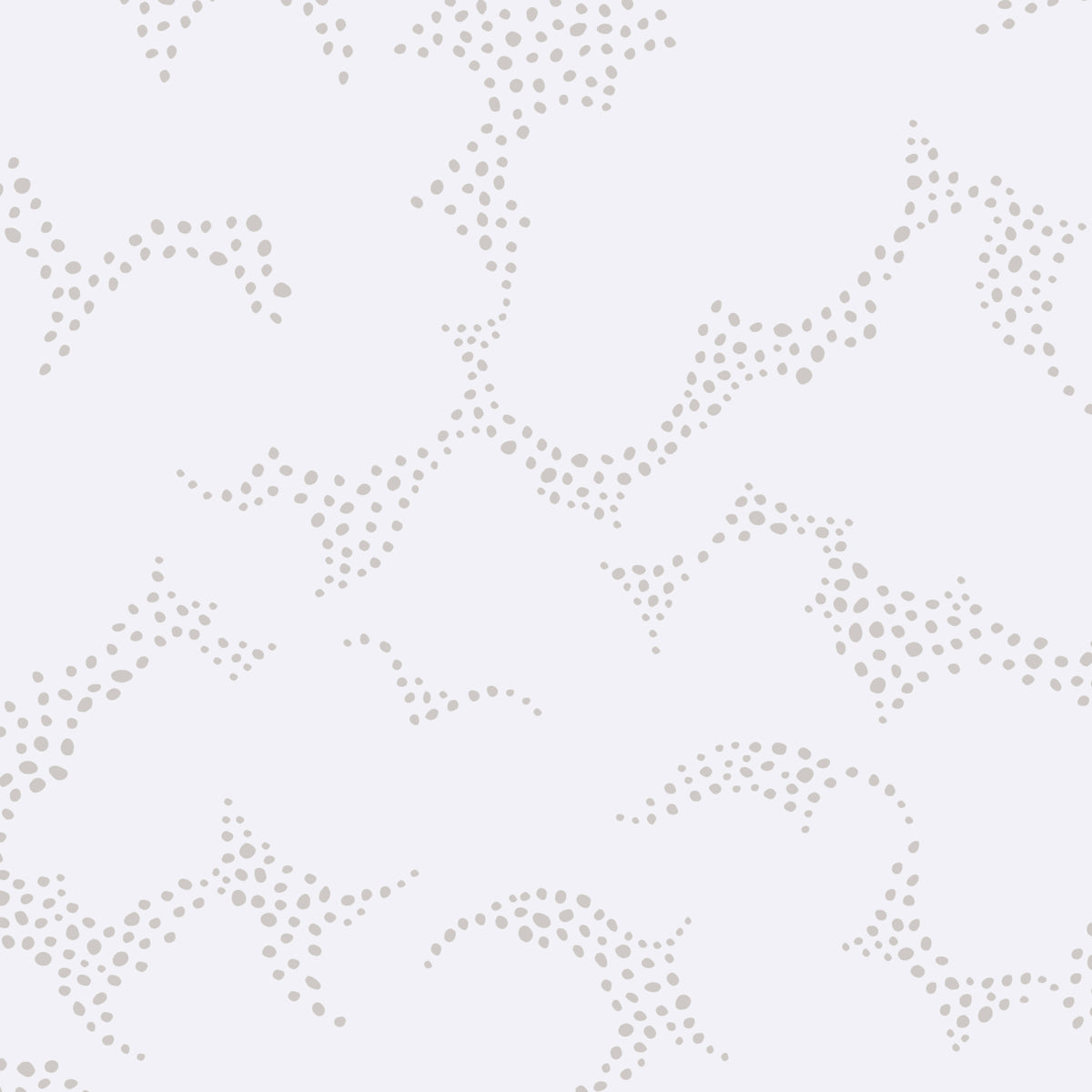 MOLNTUSS-GREY-SCHUMACHER-1456