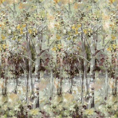 bois-de-bouleau-scene-2-designers-guild-pdg1176-01
