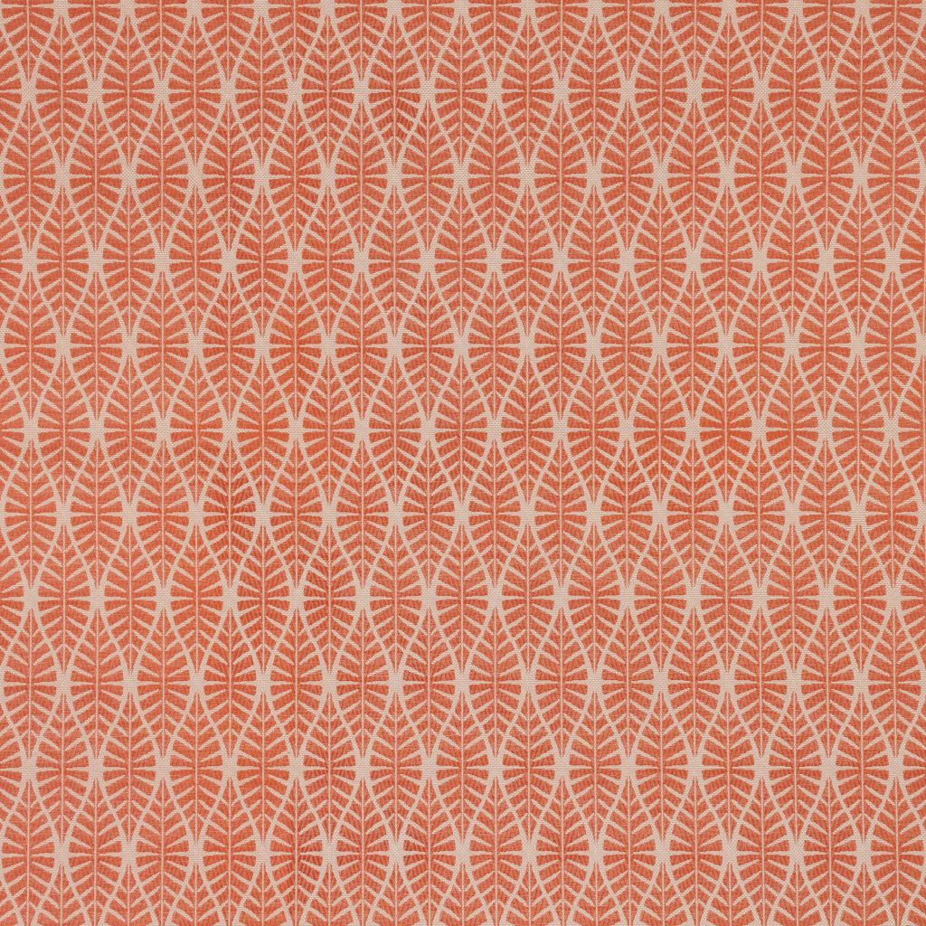 Leafing Out – Coral