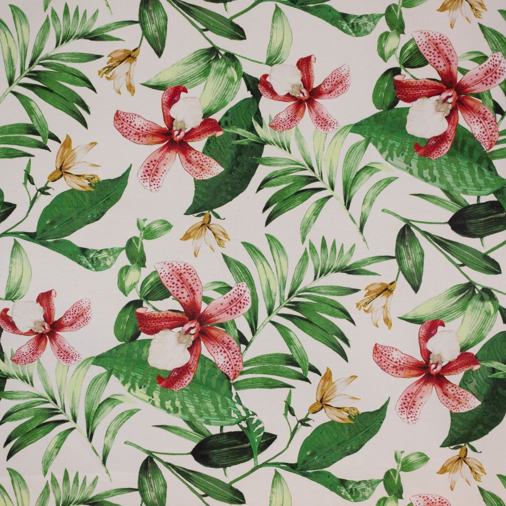 Ala Moana – Coral Reef