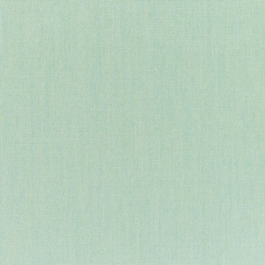 Canvas - Sunbrella® â Spa 5413-0000 - RM Coco Fabric