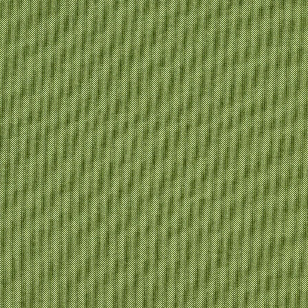 Spectrum - Sunbrella® â Cilantro 48022-0000 - RM Coco Fabric