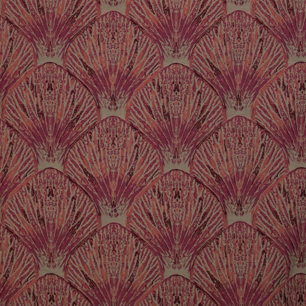 Coquille â Coral