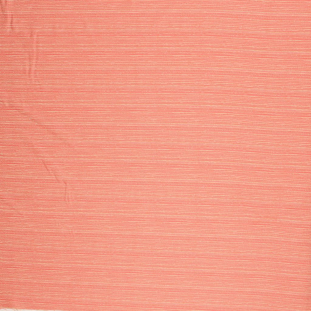 Tidal Pool IO – Coral