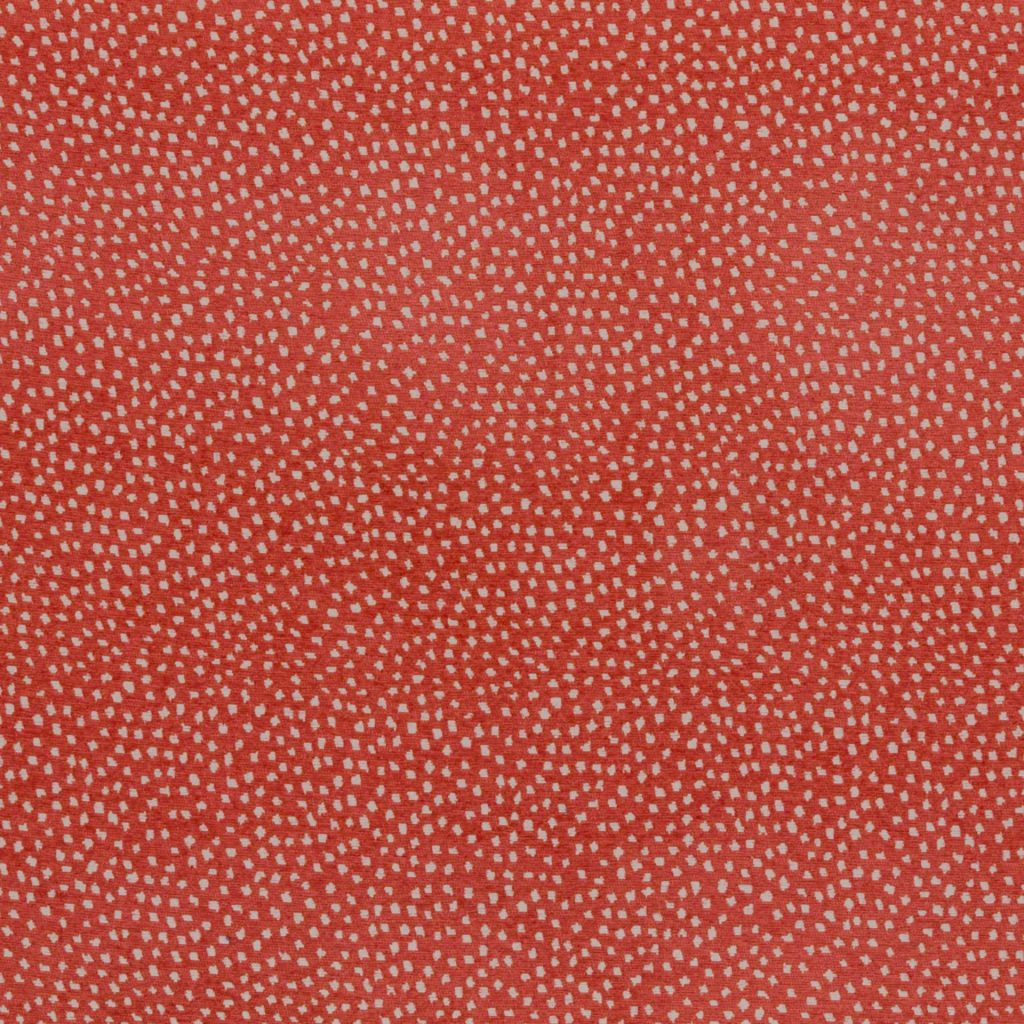 Flurry â Coral