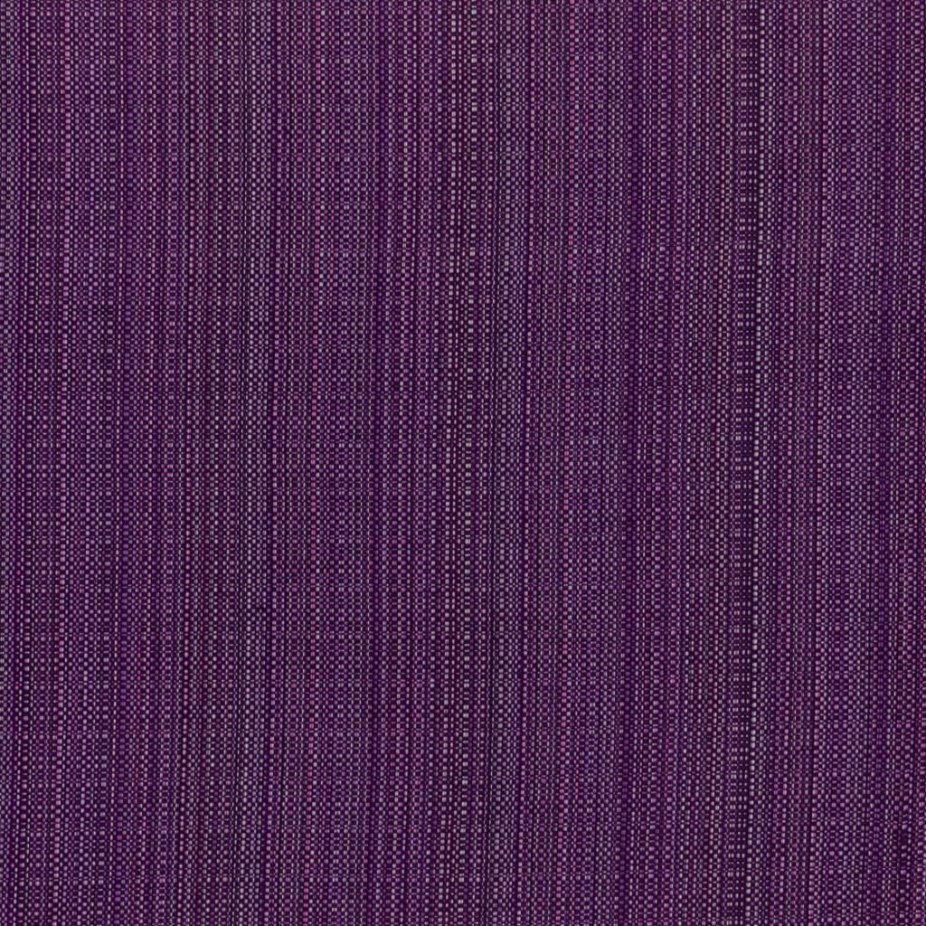 Shandy – Plum