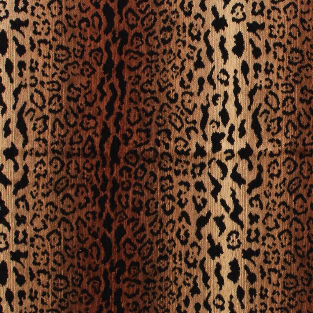 Animal Instinct – Cheetah