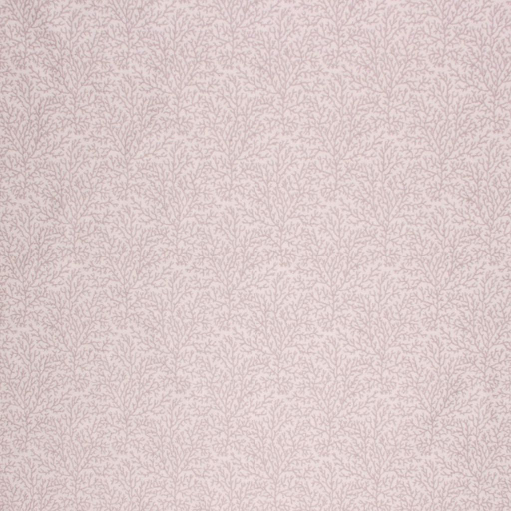 CORAL REEF – FOG