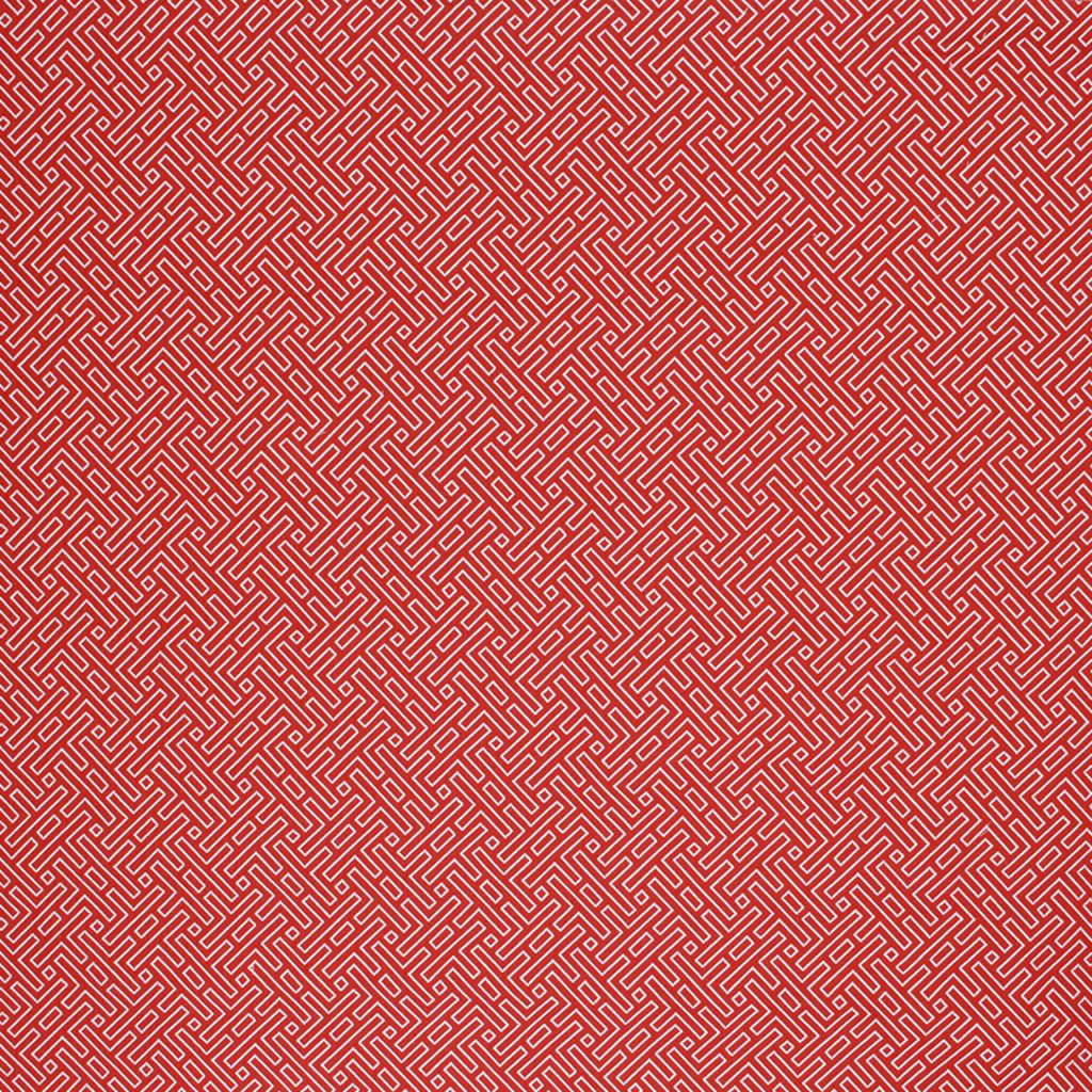 AMAZED – RED - RM Coco Fabric