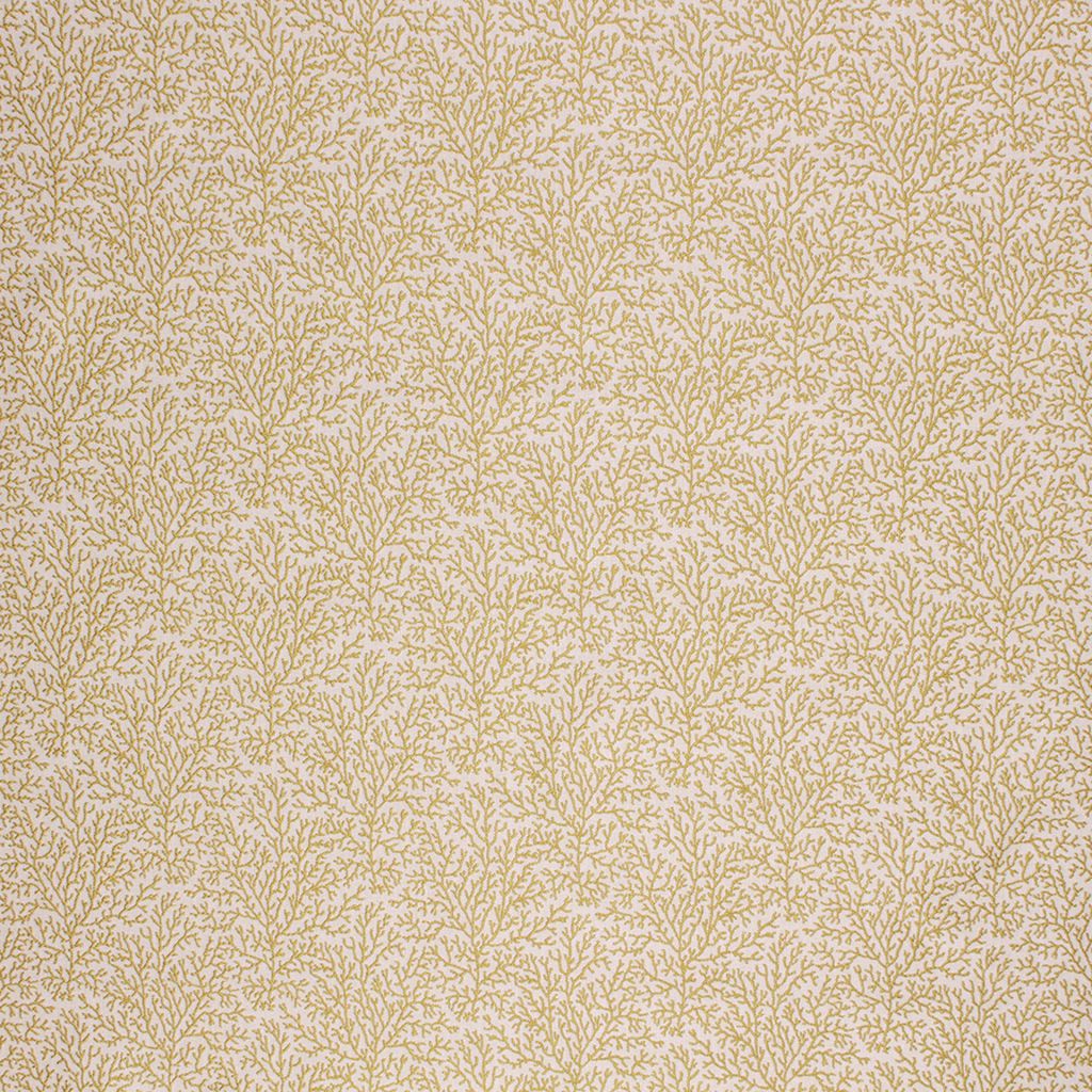 CORAL REEF – LIME