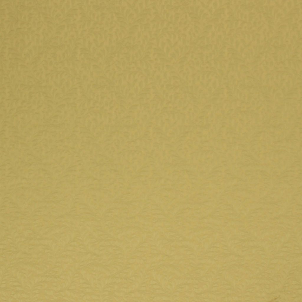 IVY LEAGUE – LEMONGRASS