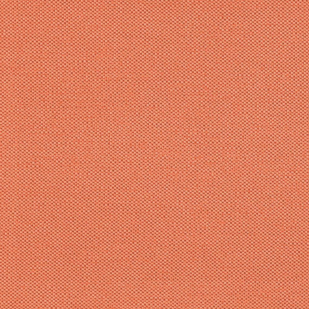 Piper β Melon