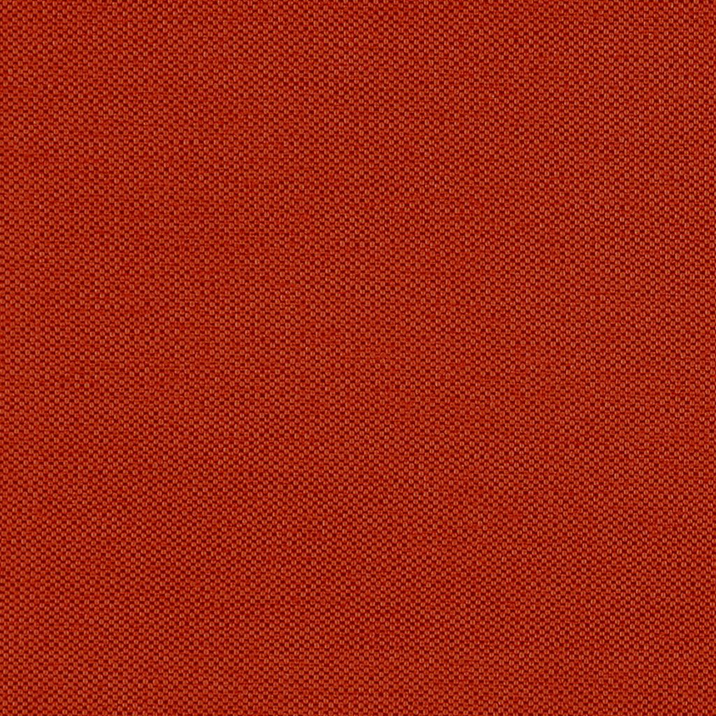 Piper – Tabasco