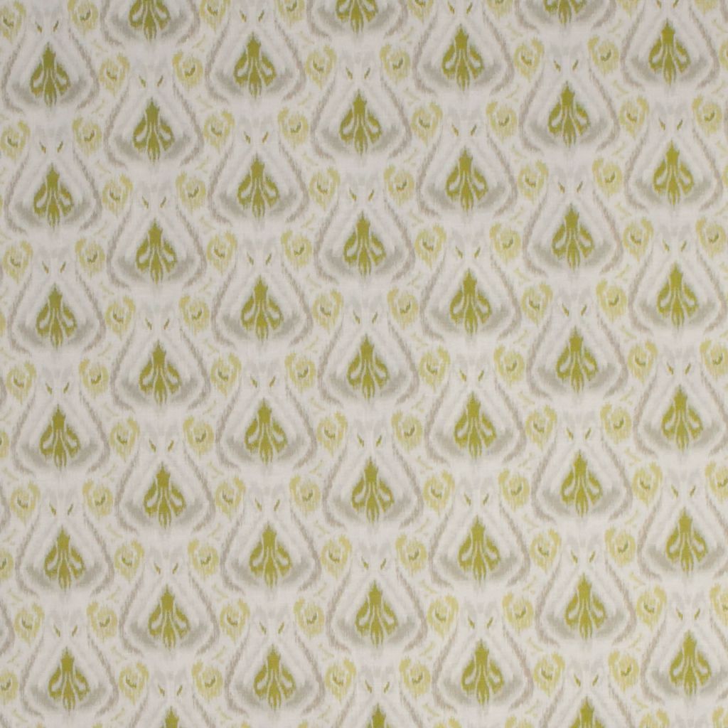 FARAH β FENNEL