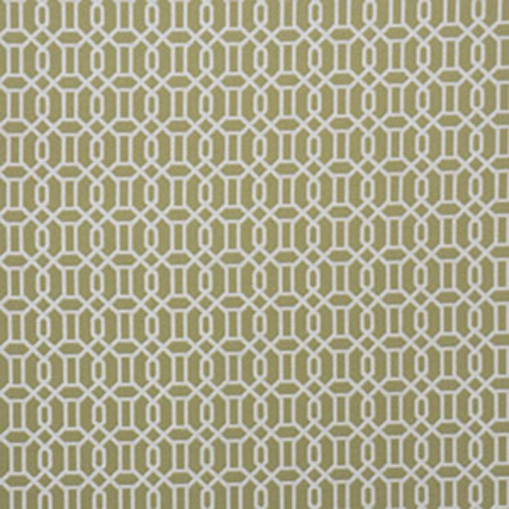 2317CB – KIWI - RM Coco Fabric