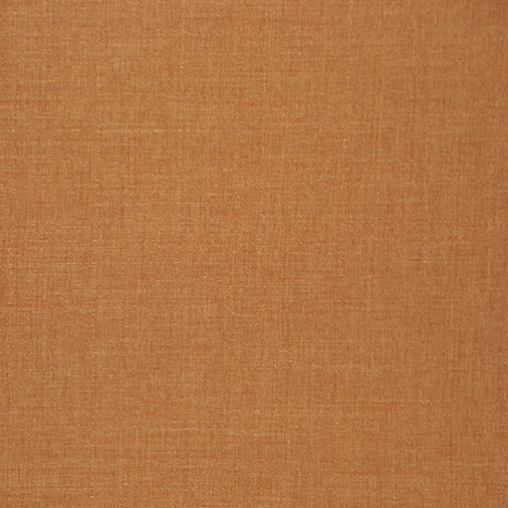 SHASTA – Copper