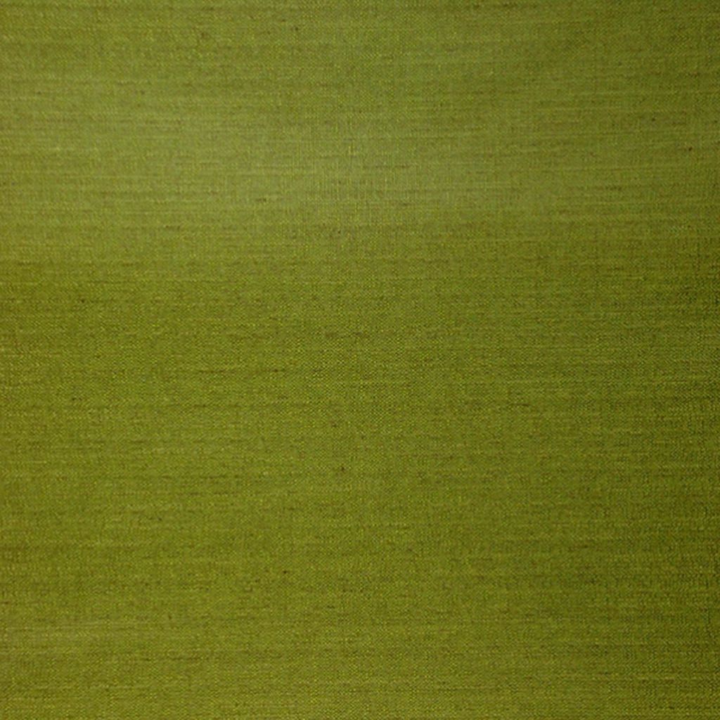 AMERISTAR – Avocado - RM Coco Fabric