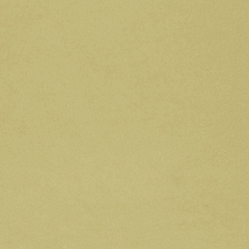 ERIE CANAL – Maize