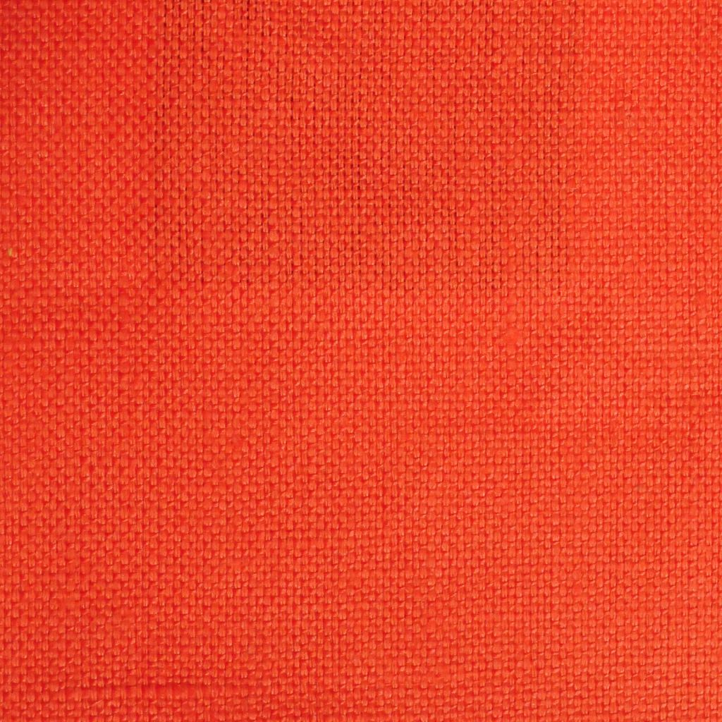 FROLIC – CORAL