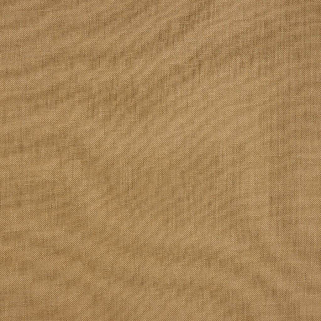 FROLIC – CAMEL