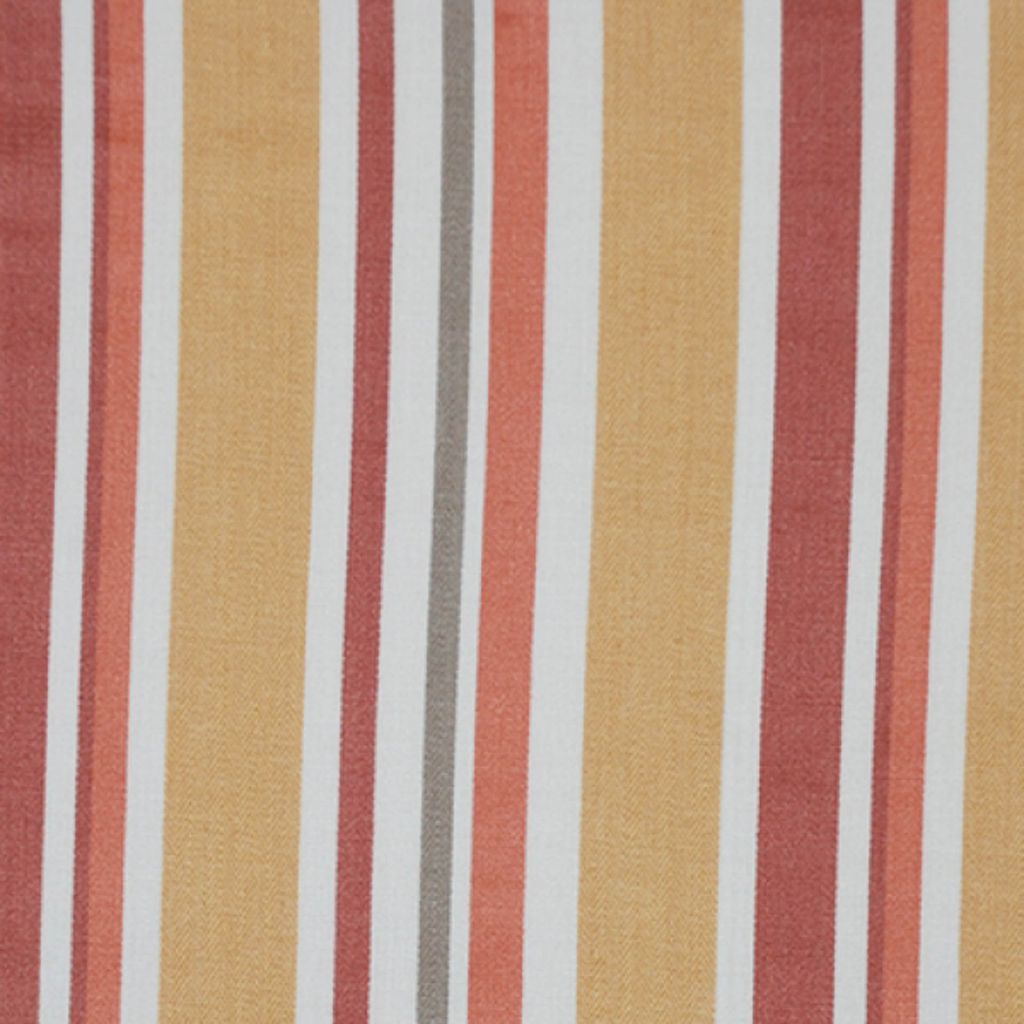 SIGHTSEE – Sunkist