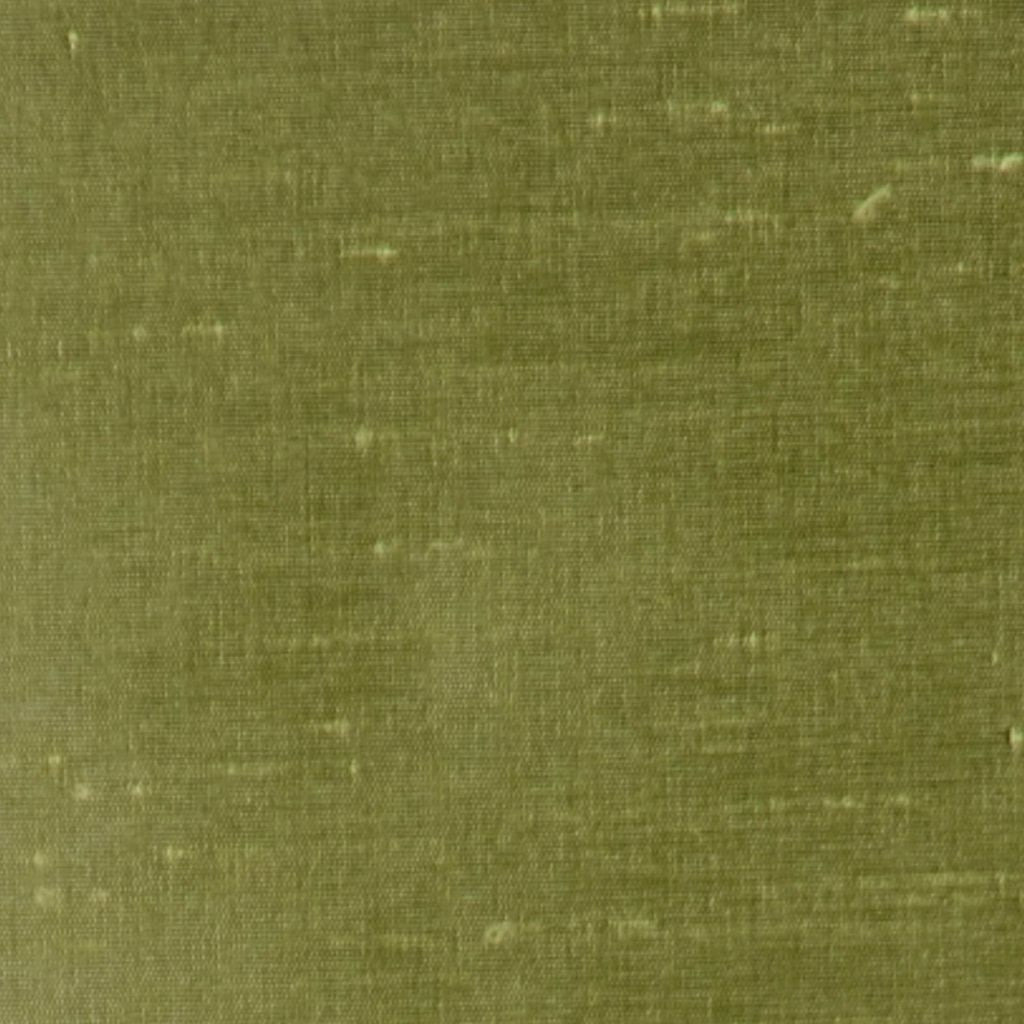 CARINA – CELERY