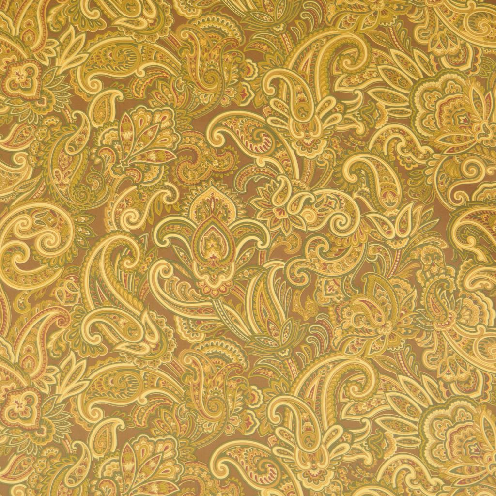 GOLDILOCKS – COCOA