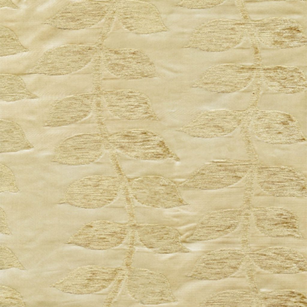 BIRTHDAY – Cashmere