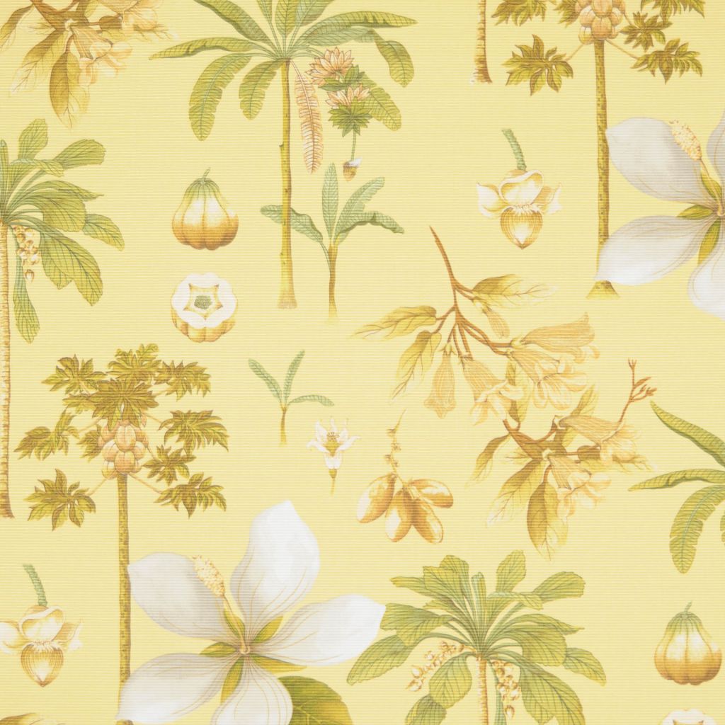 BUDAPEST – CORNSILK