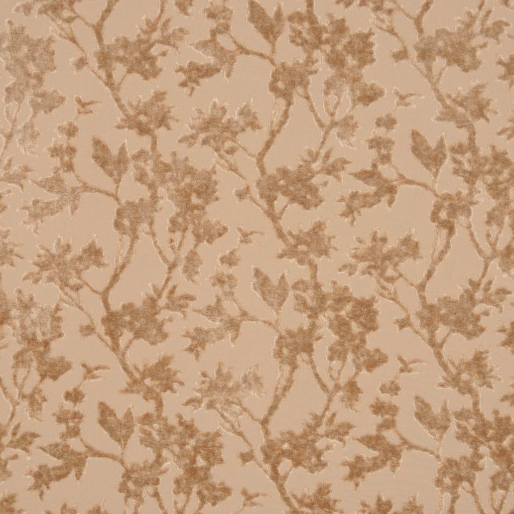 CAROLINA – PANA - RM Coco Fabric