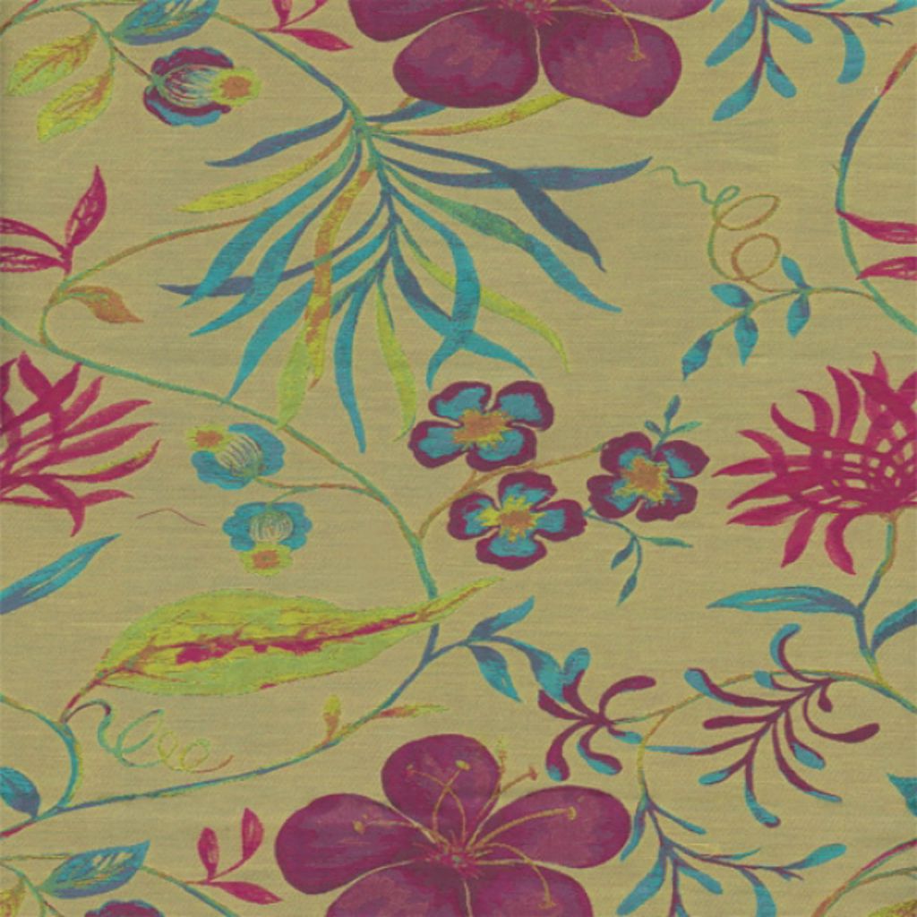 KERALA – EXOTIC BLO