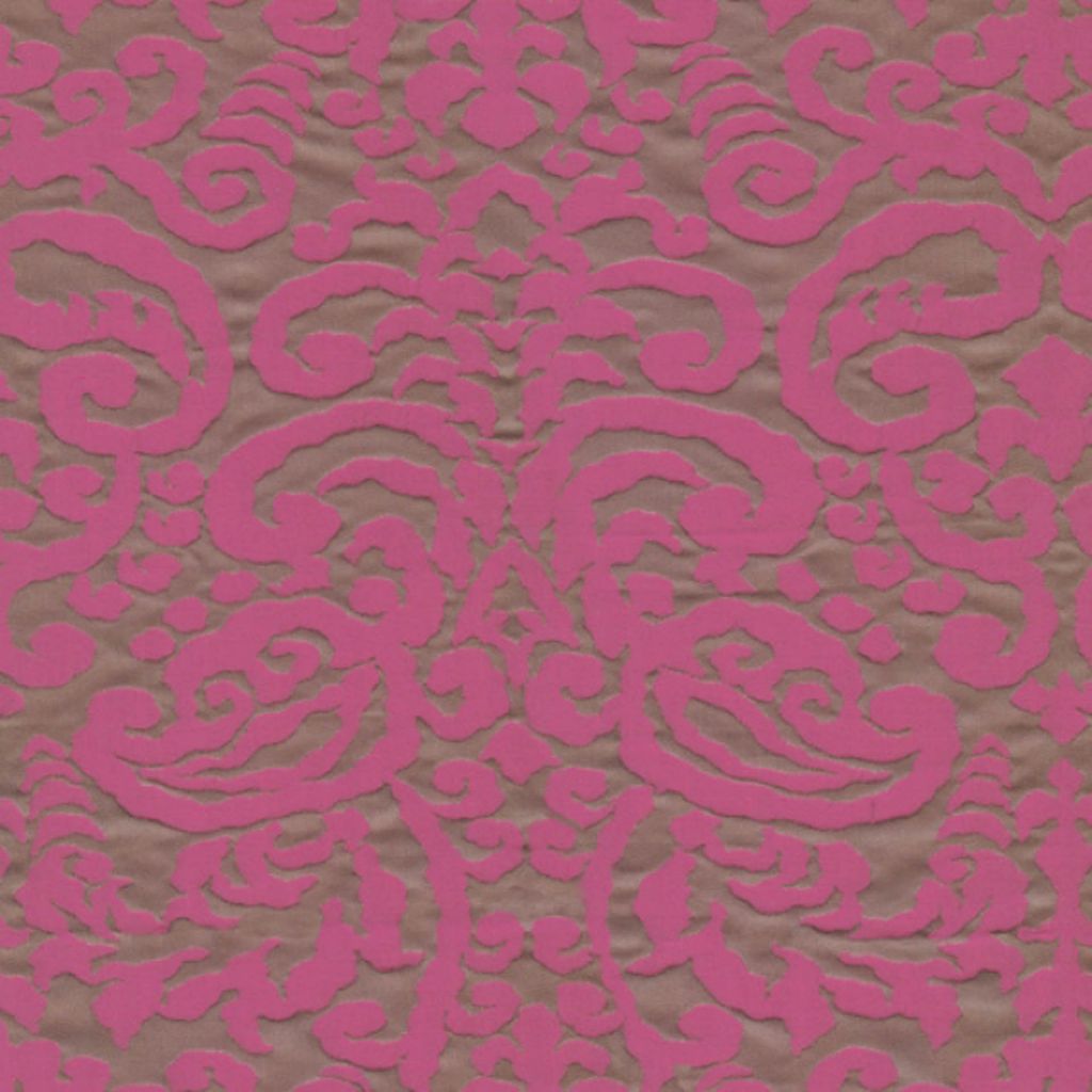 MAKE A DISCOVERY – RASPBERRY