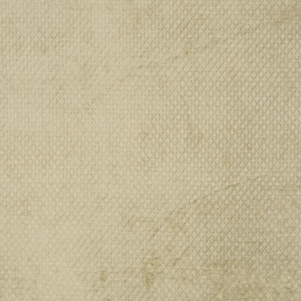 MASSACHUSETTS – OLIVE