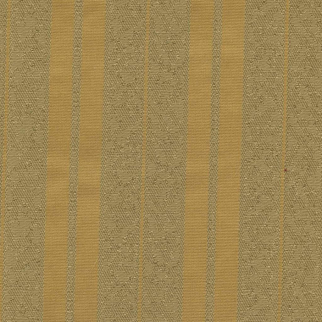 APPRENTICE – Golden