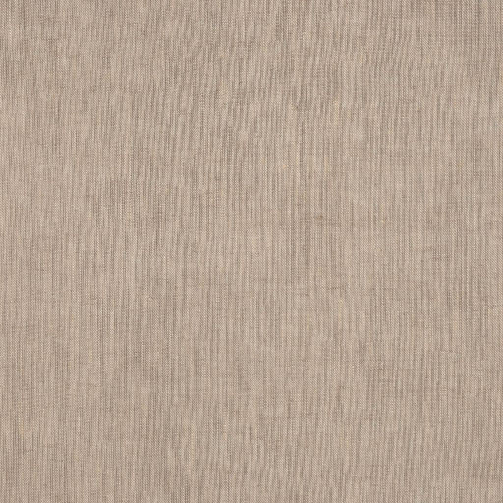 INSIGHT – TAN