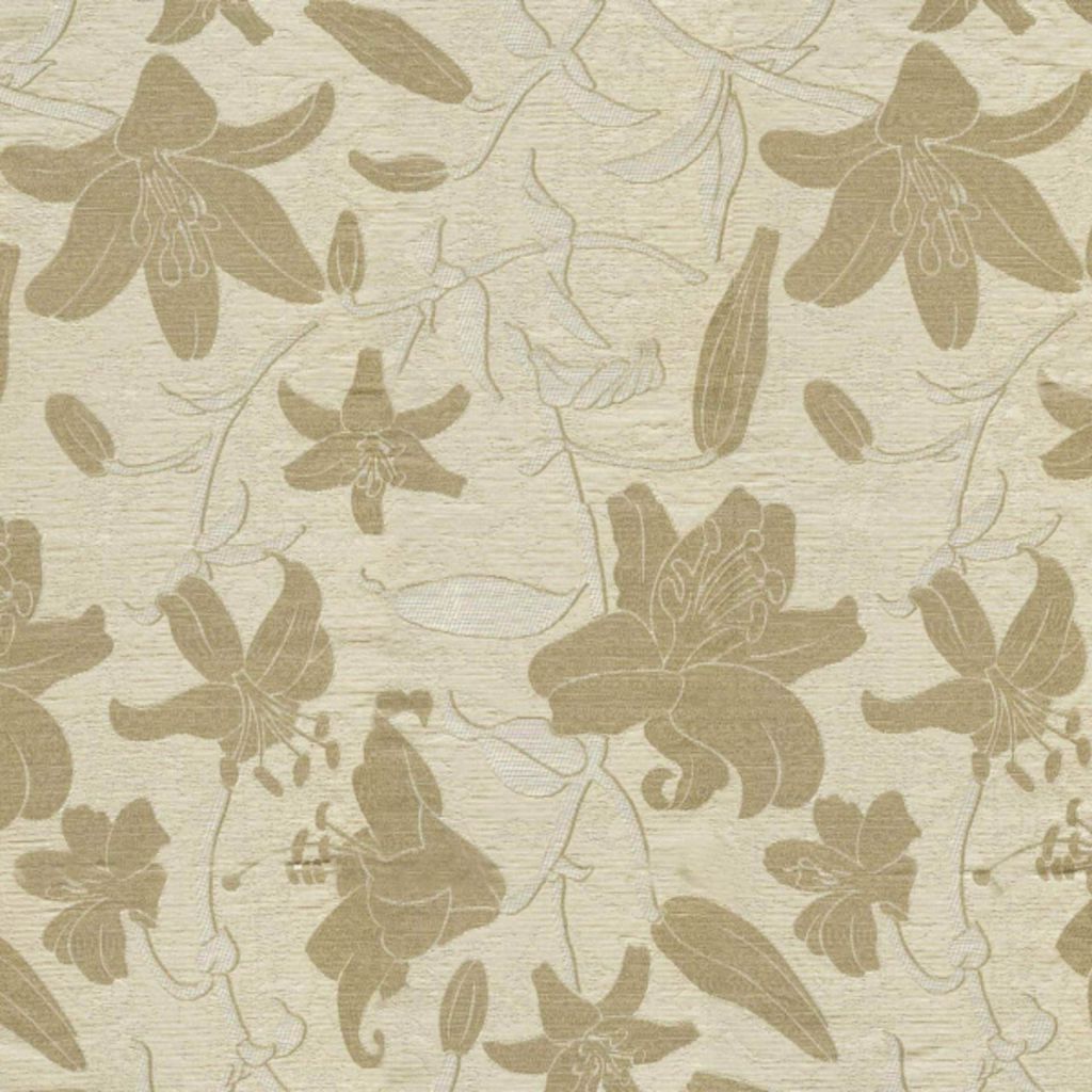 WORLD PEACE – CREAM