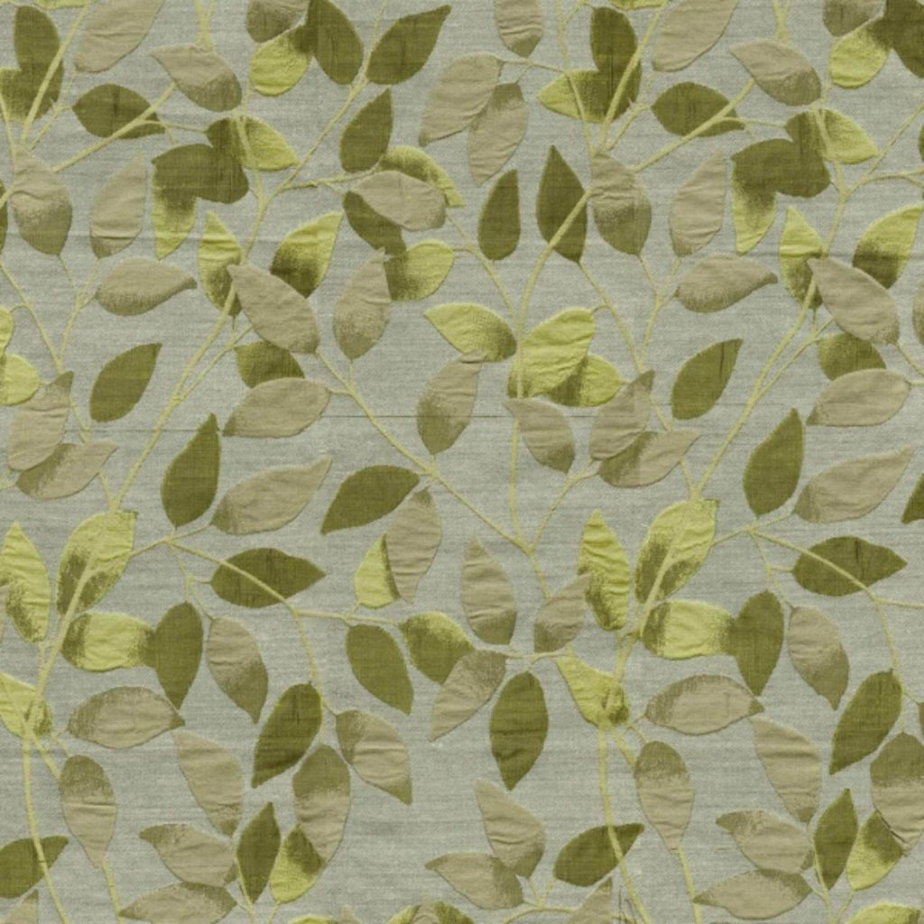 EXCEPTION TO THE RULE – KIWI