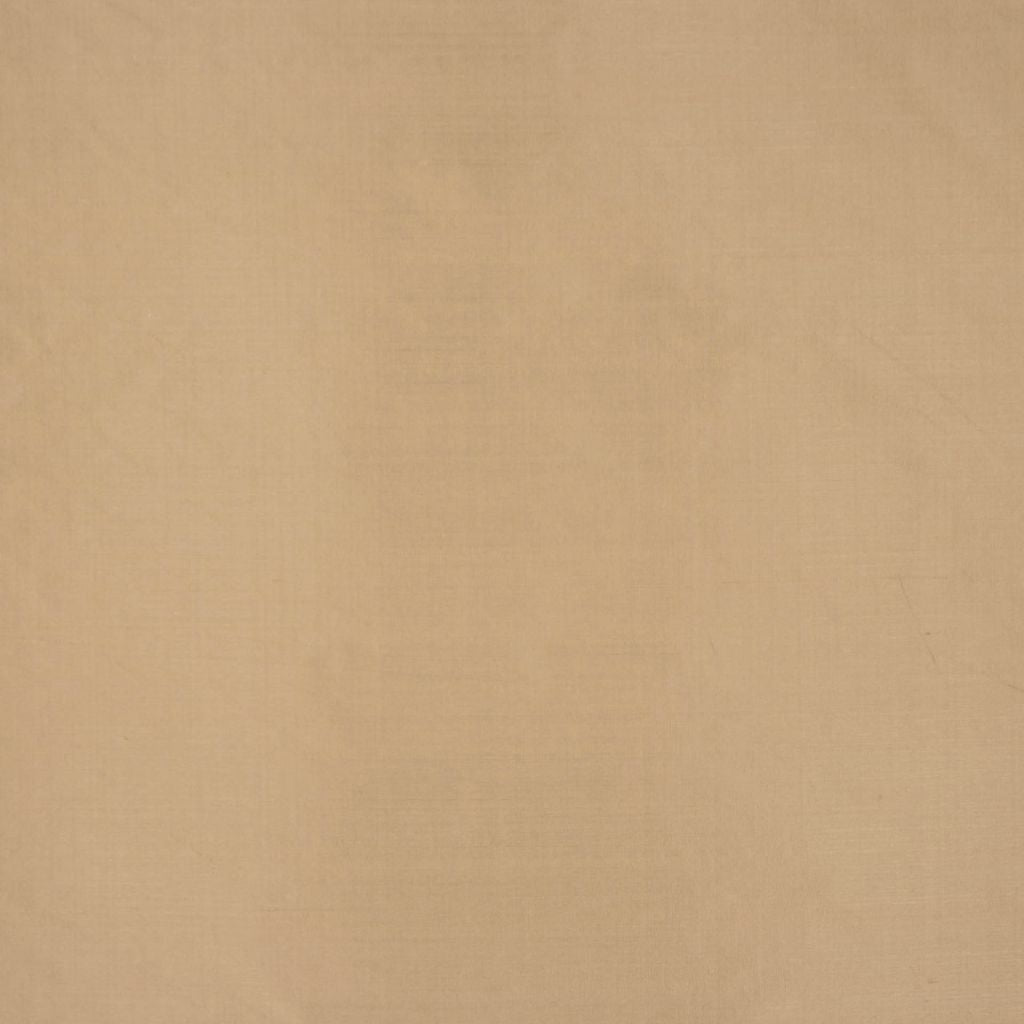 KARACHI – MUSHROOM