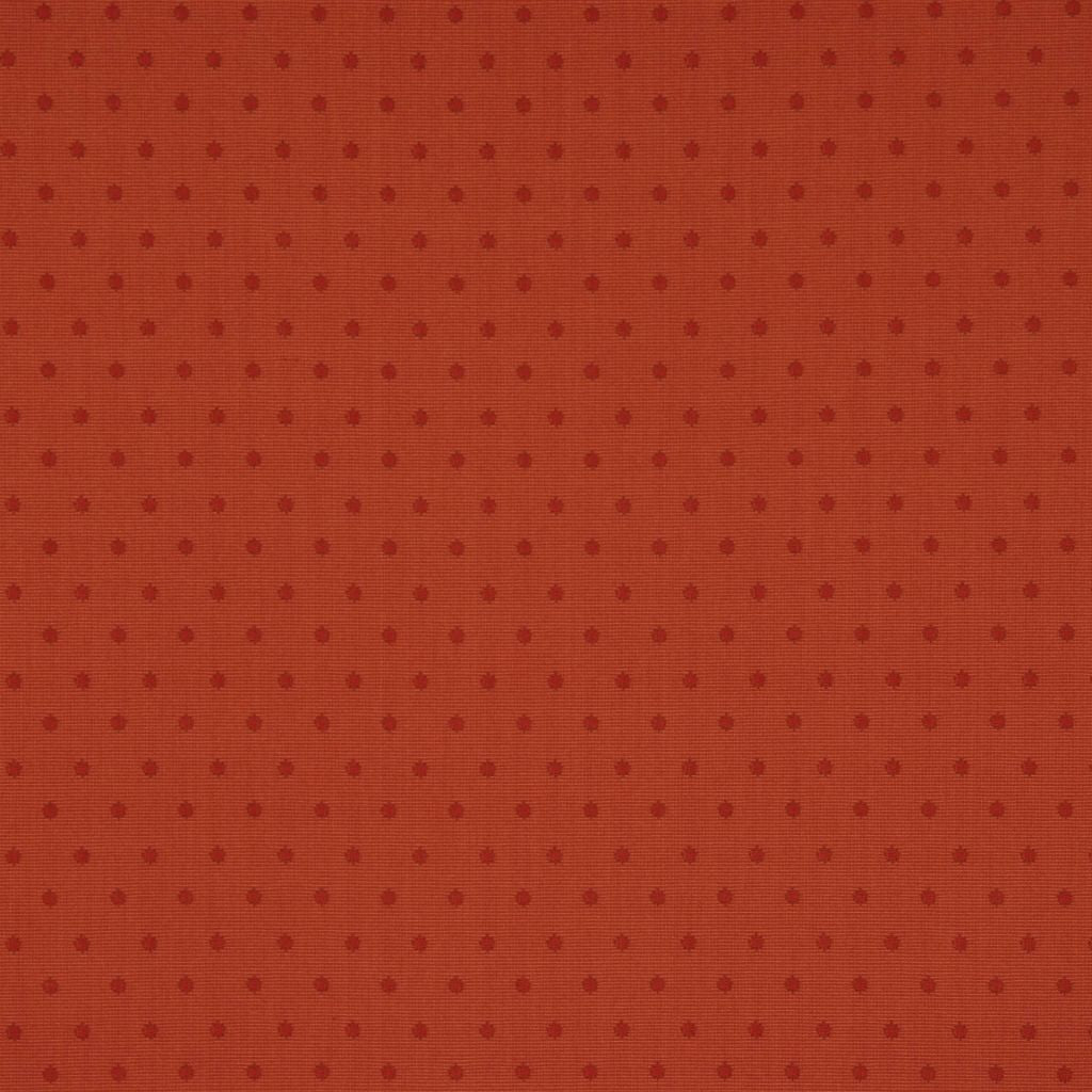 TIRAMISU – SPICE