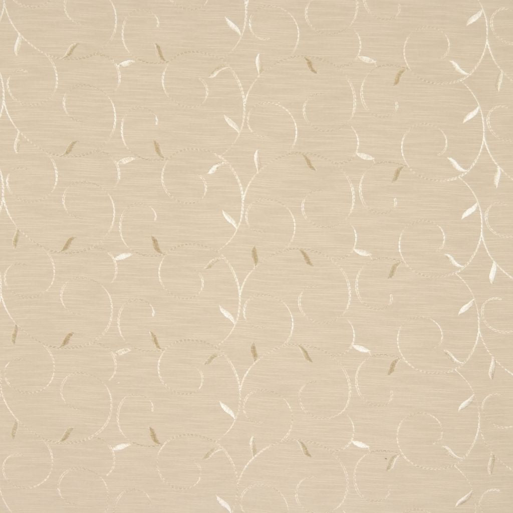 INFINITY – PARCHMENT