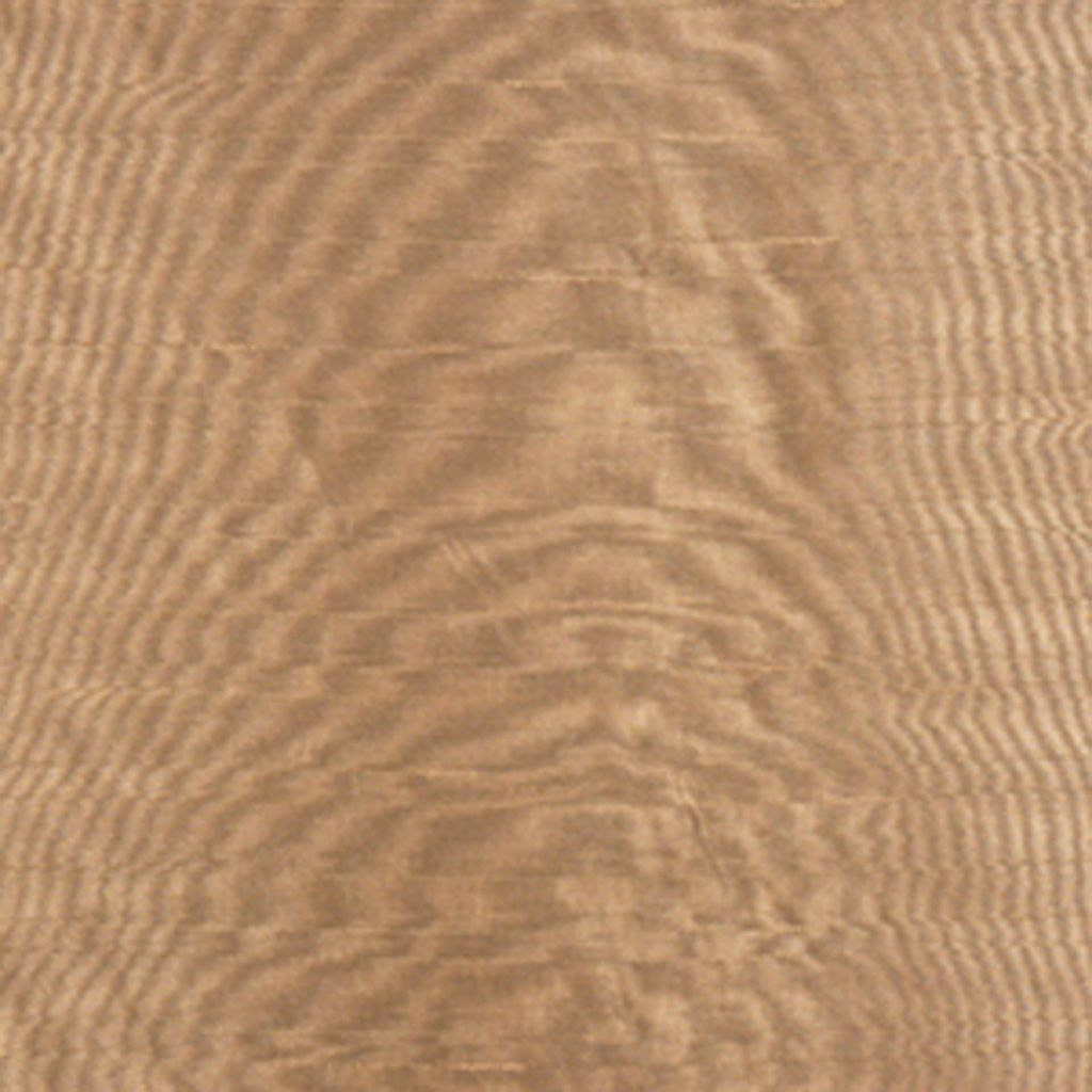 CURRENT – TAUPE wid