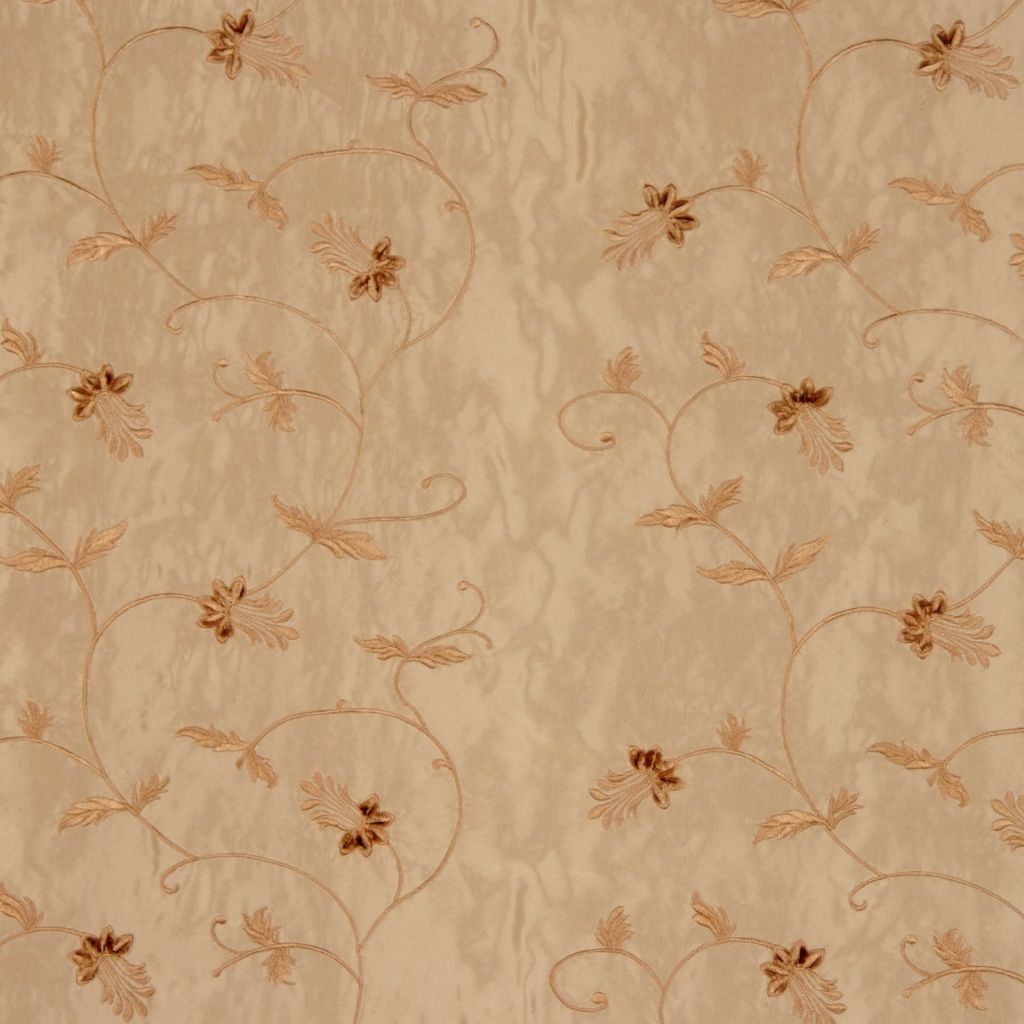 JITTERBUG – Champagne