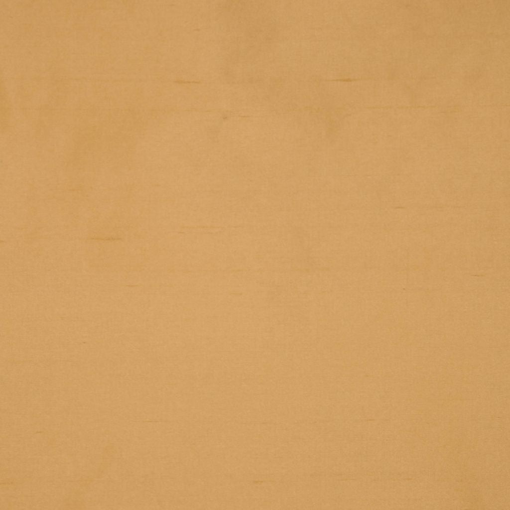 INTUITION – HARVEST