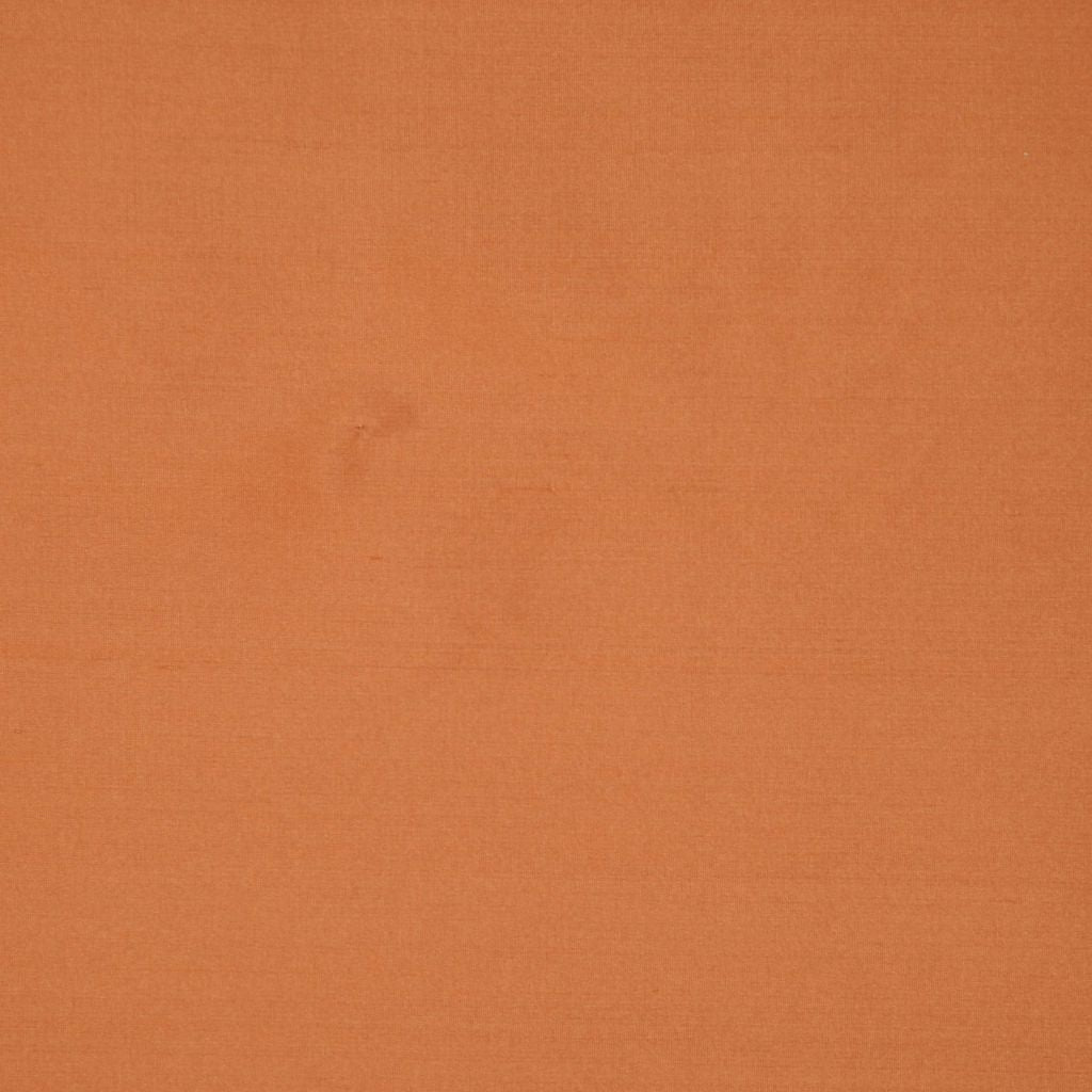 INTUITION – ZINNIA