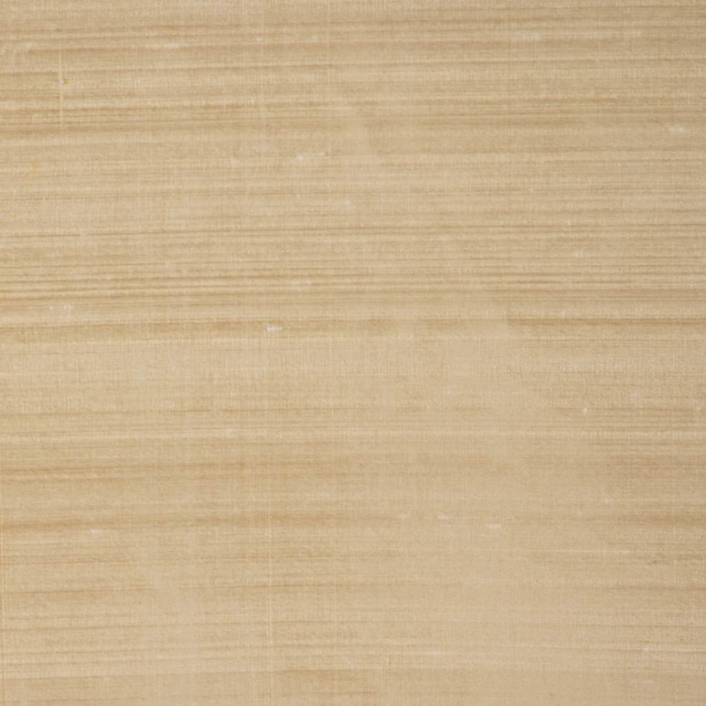 RM DUPIONI – BEIGE - RM Coco Fabric