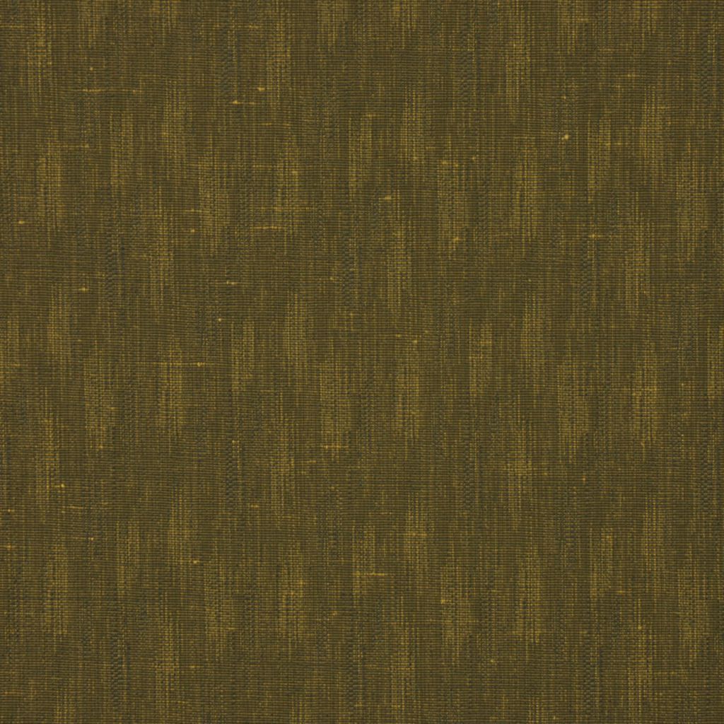 SILHOUETTES – FOREST