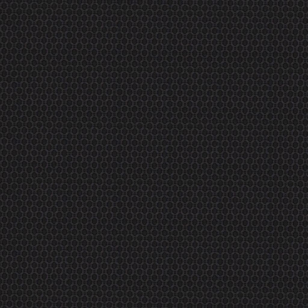 Imperial Gate – Raven