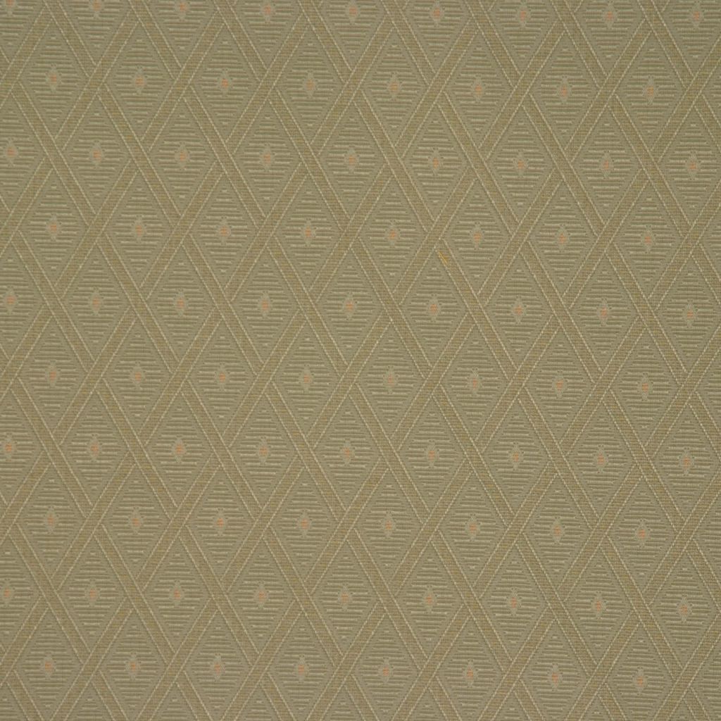W143 – 50 - RM Coco Fabric