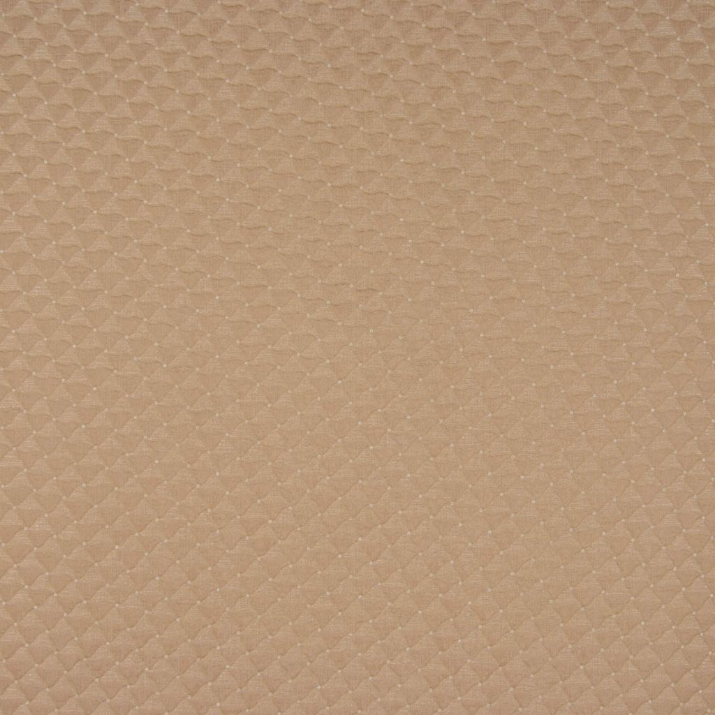 W162 – 227 - RM Coco Fabric