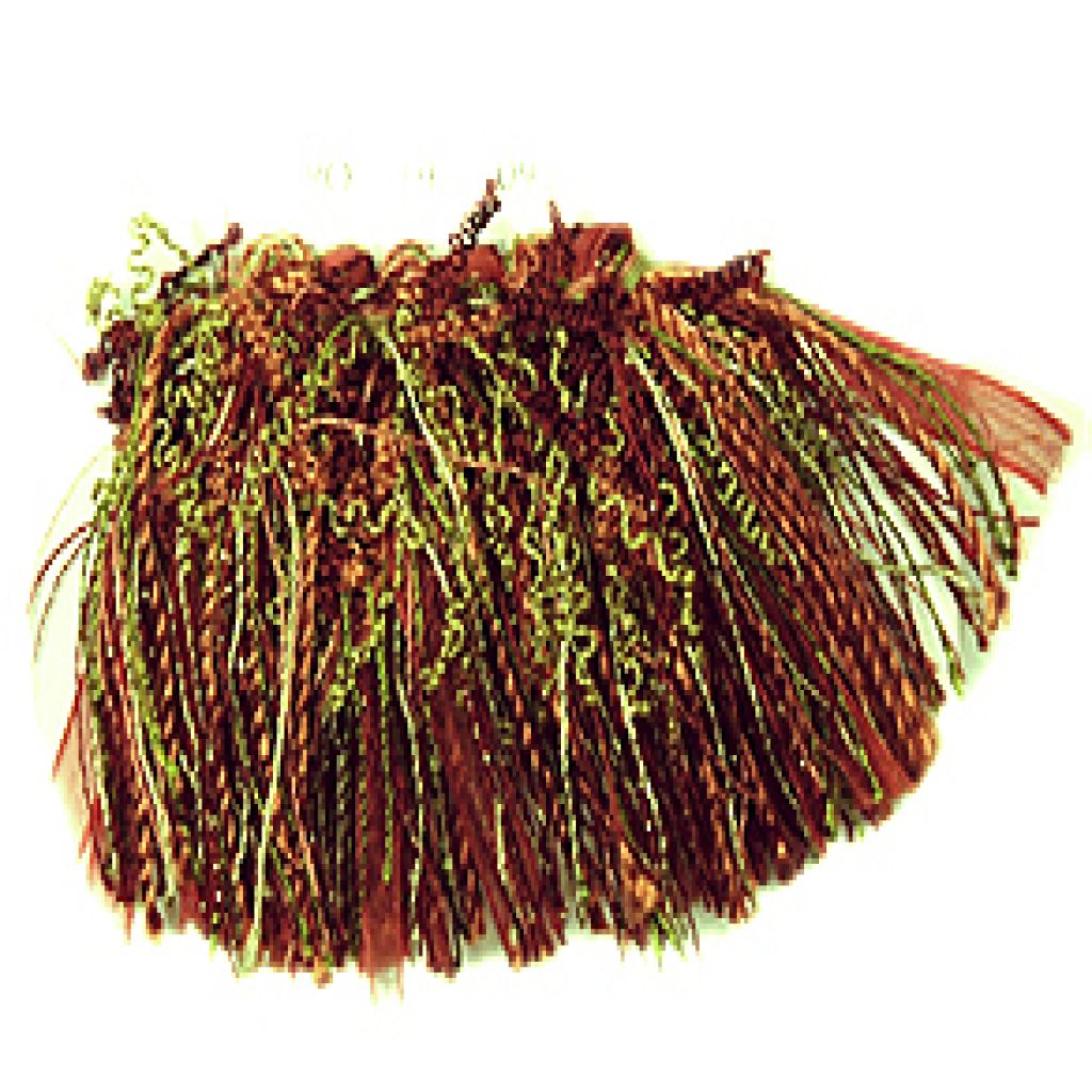 T1093 CURLY ROUCHE – PLUM SURPRISE